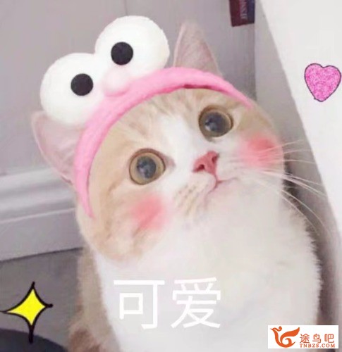 1551360672039.jpeg