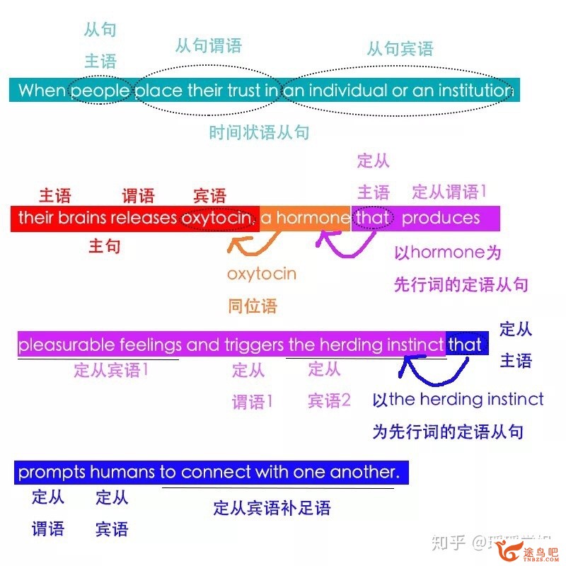 如何高效地进修英语语法？-1.jpg