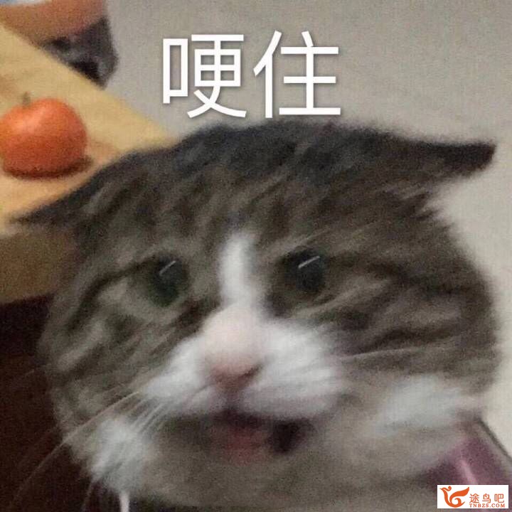 合适背英语单词的app有哪些？考研用。-1.jpg