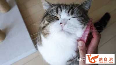 哪些顺口溜或小故事能够协助记忆英语单词和短语？-14.jpg