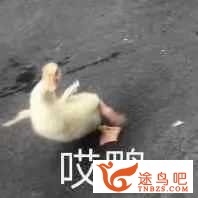 有什么好听的英文单词当 昵称？-1.jpg