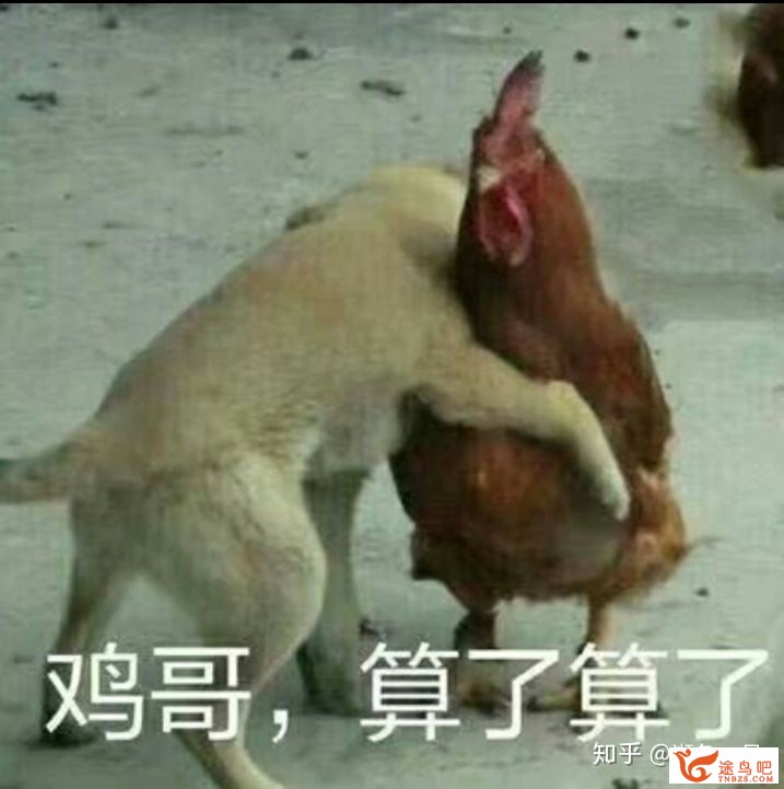英语中有哪些单词都认识却无法翻译的句子？-5.jpg