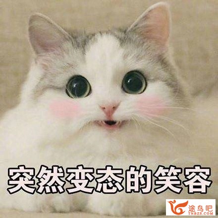 英语中有哪些单词都认识却无法翻译的句子？-2.jpg