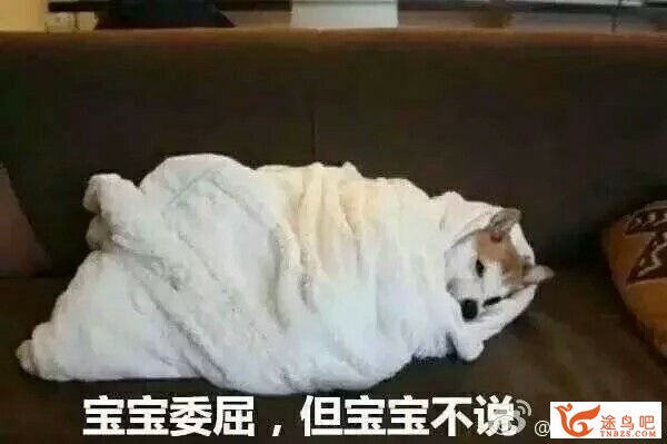 记不住英语单词是智商问题吗？-1.jpg