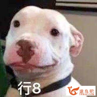 哪些英语单词我们经常用错？-2.jpg