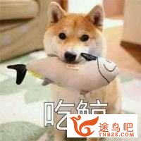 哪些英语单词我们经常用错？-1.jpg